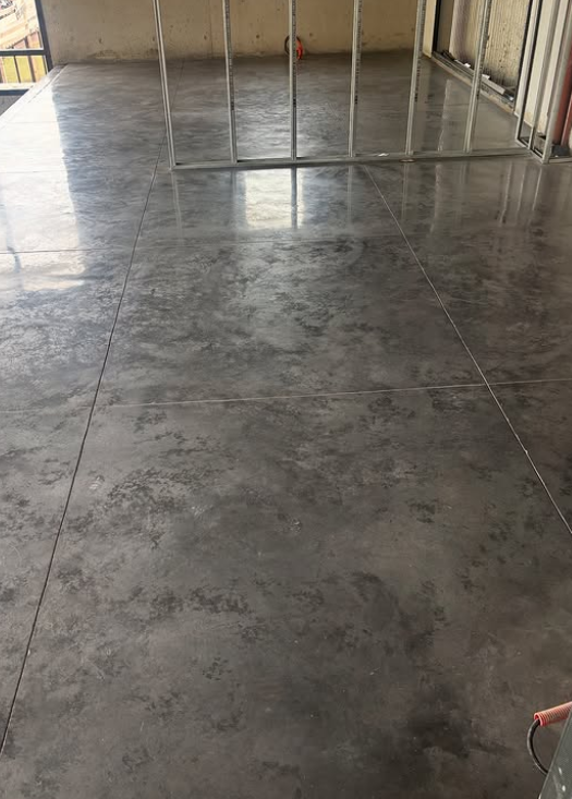 Trabajo 10001969